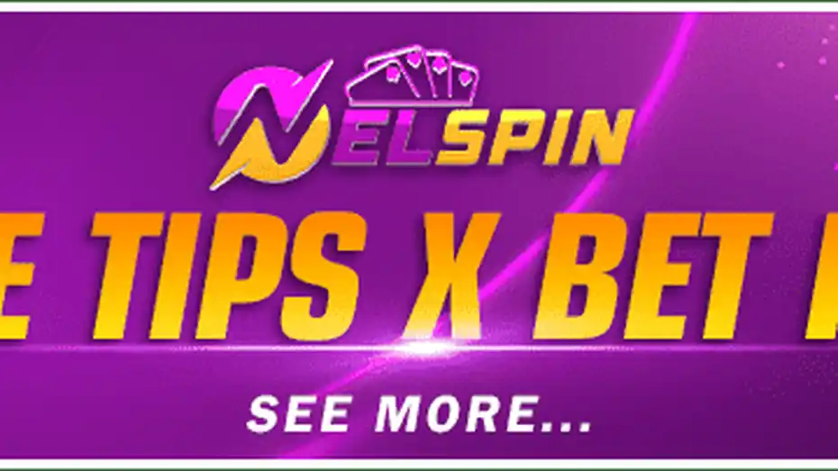 Nelspin Support